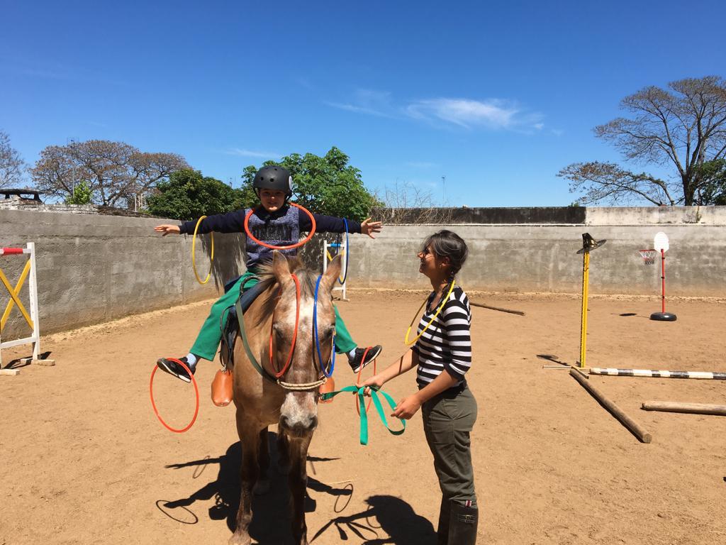 imagen equitación terapéutica